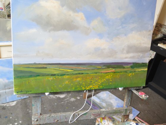 Wolds, May 26