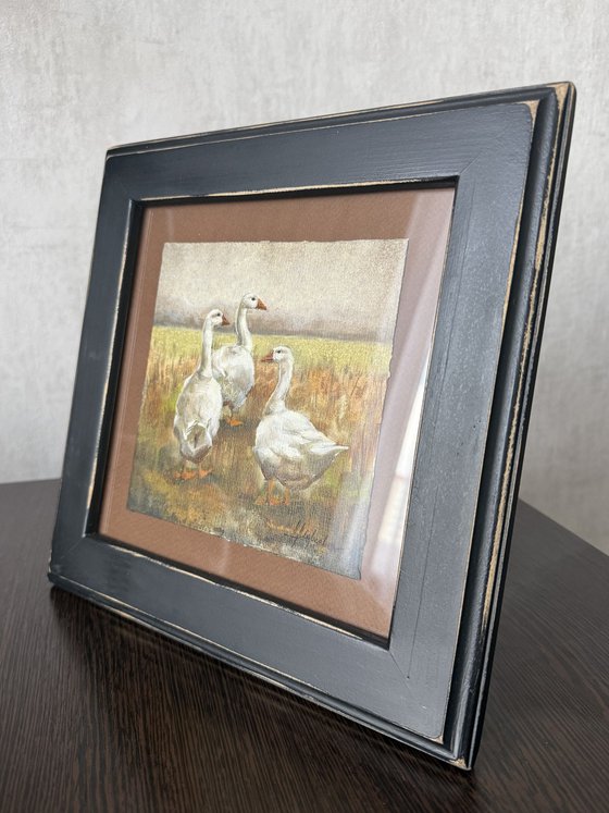 Geese