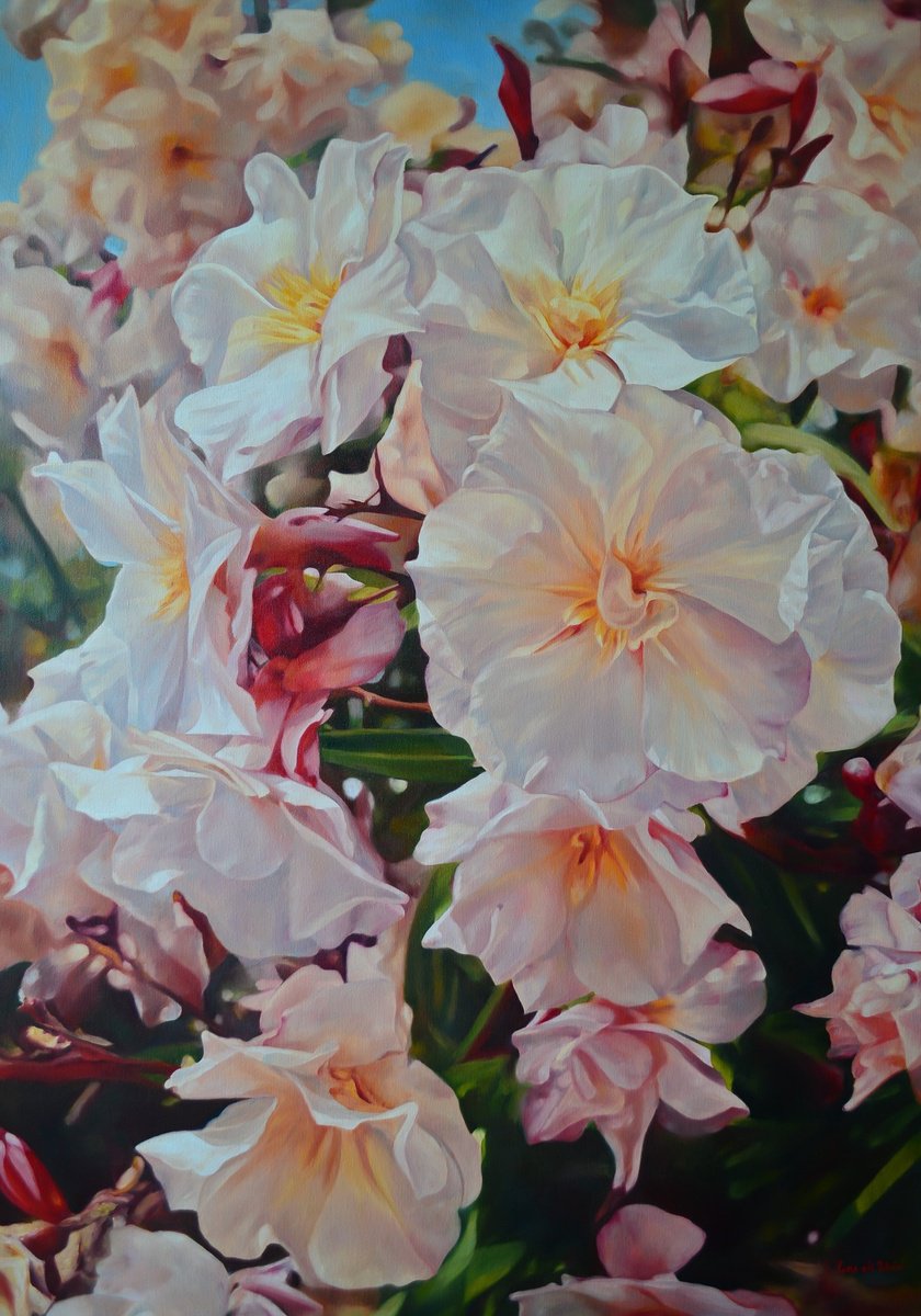 Blooming oleander by Cene gal Istvan