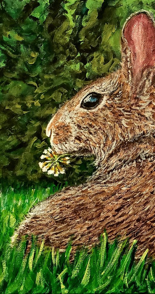 Rabbit Eats Flower by Robbie Potter