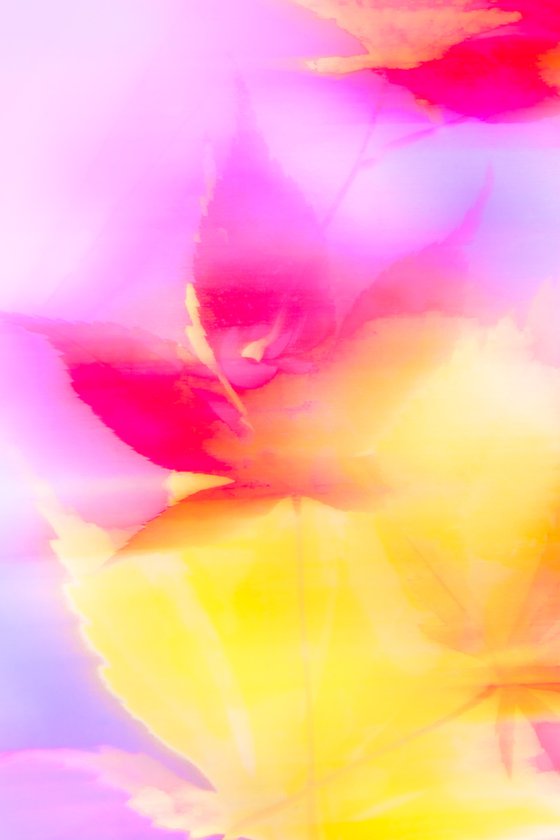 Yellow, Purple and Hot Pink Abstract Flowers - Spring Song....