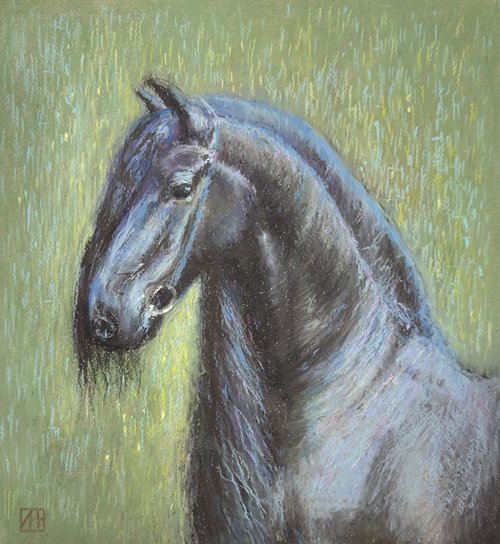 Black Horse by Nataliia Zaharuk