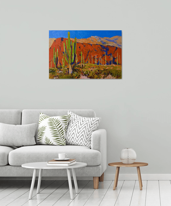Saguaros and Desert Colors