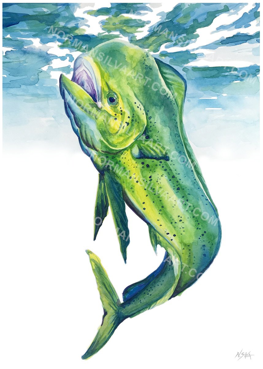 Illustrative Animal Watercolour By Norman Silva, 9 X 12", Dolphin Underwater, Original Artwork