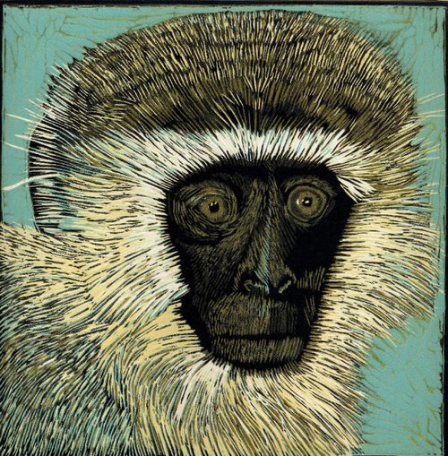 Sad Vervet Monkey by Marian Carter