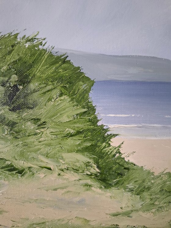 Through the dunes
