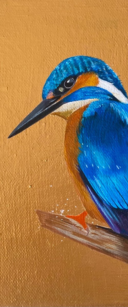 Kingfisher acrylic painting on gold background by Bethany Taylor