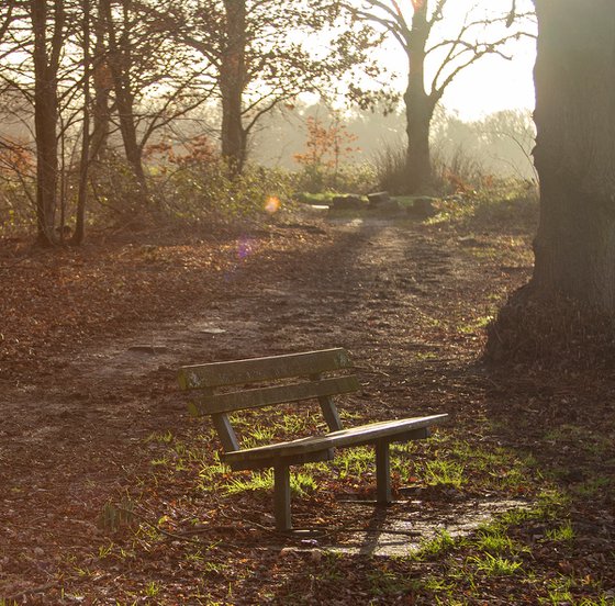 Solo Bench 2023 1/20 18"X12"