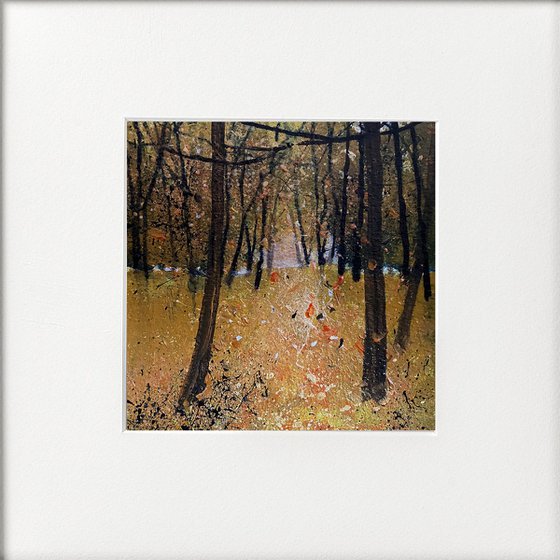 Seasons - Autumn Colours framed