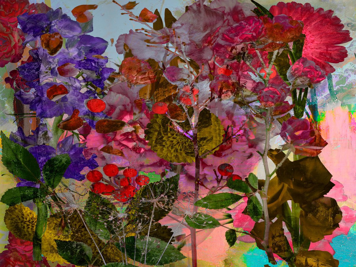 Expressive Abstract Photograph By Geert Lemmers Fpa, 39 X 31, Flowerpower Freedom, Original Artwork