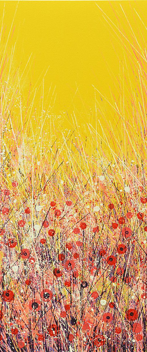 The Poppy Field by Marc Todd