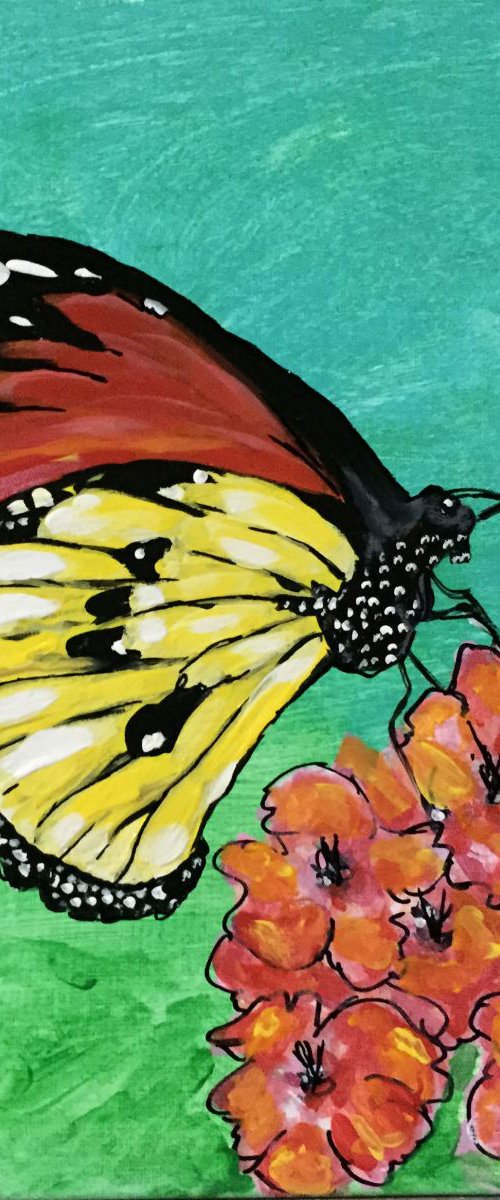 Painted Jezebel Butterfly by Carolyn Shoemaker (Soma)