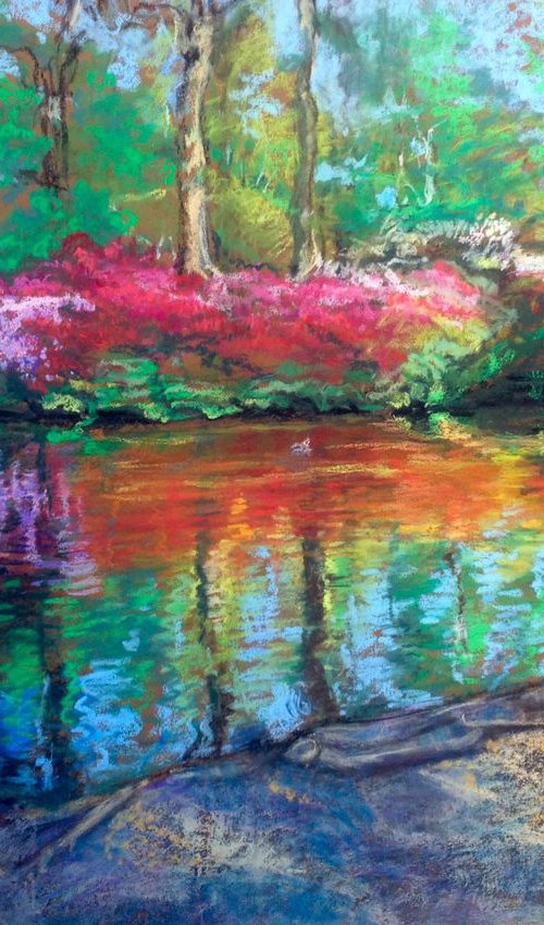 Richmond, Isabella plantation by Patricia Clements