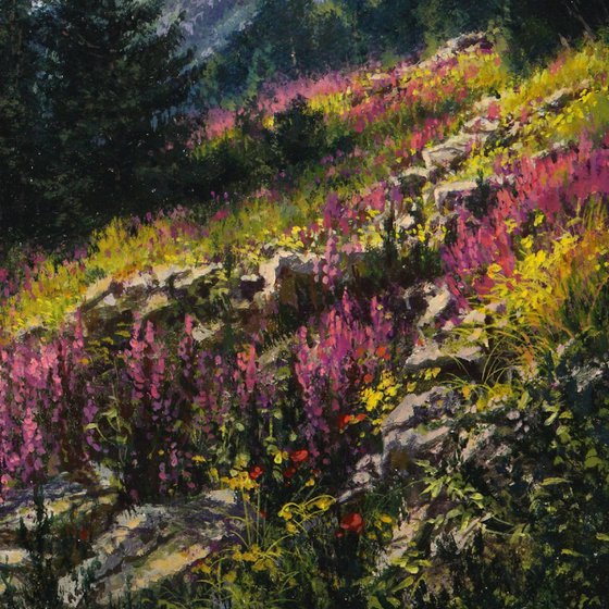 Where the mountains bloom