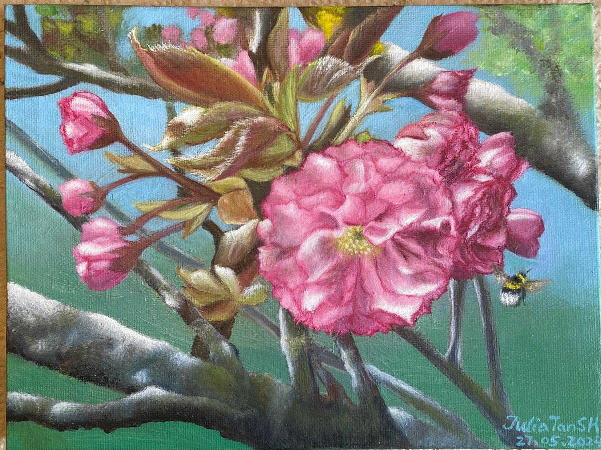 Impressionistic Landscape Oil Painting By Julia Tan Sh, 9 X 7", Portrait Of Cherry Blossom, Original Artwork