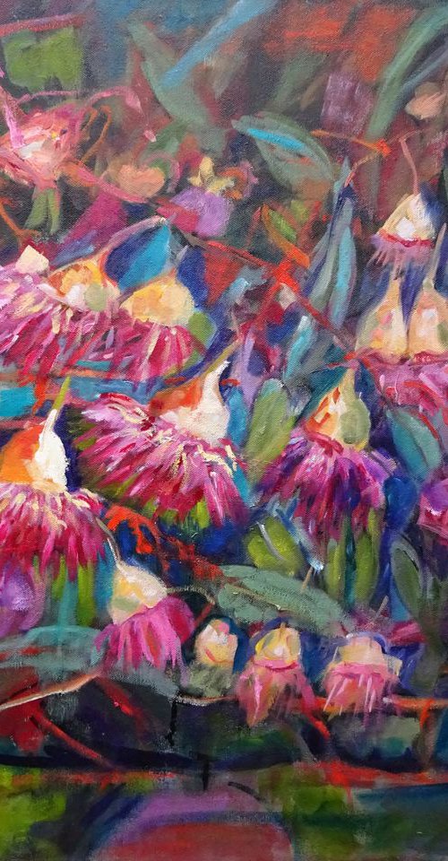 Eucalyptus Flowers by Maureen Finck
