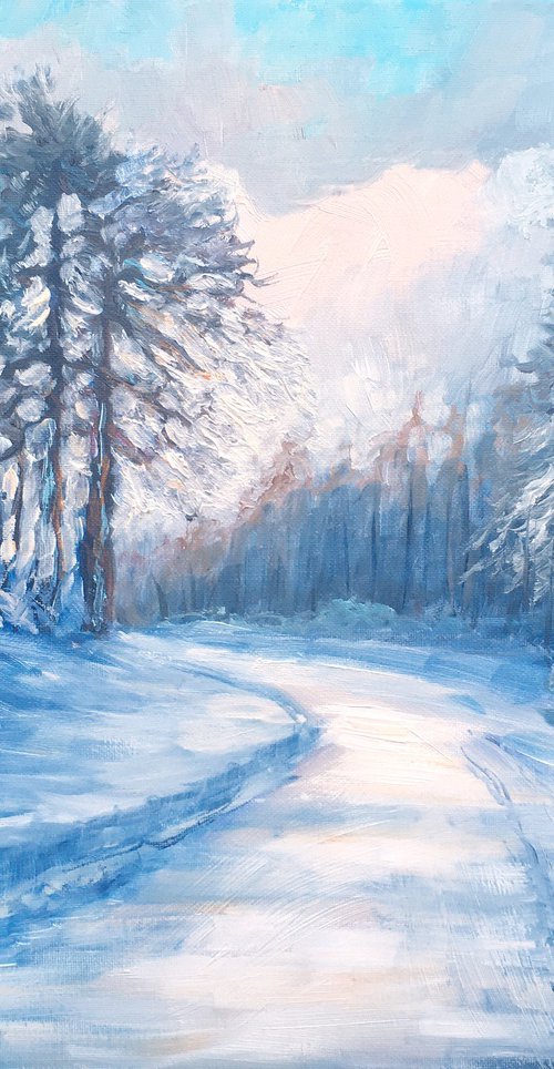 Winter road by Elena Sokolova