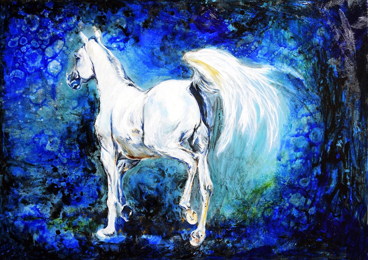 White Horse / 70 cm x 50 cm Equine Art  Modern Contemporary  Wall Art Home Decor by Anna S... by Anna Sidi-Yacoub