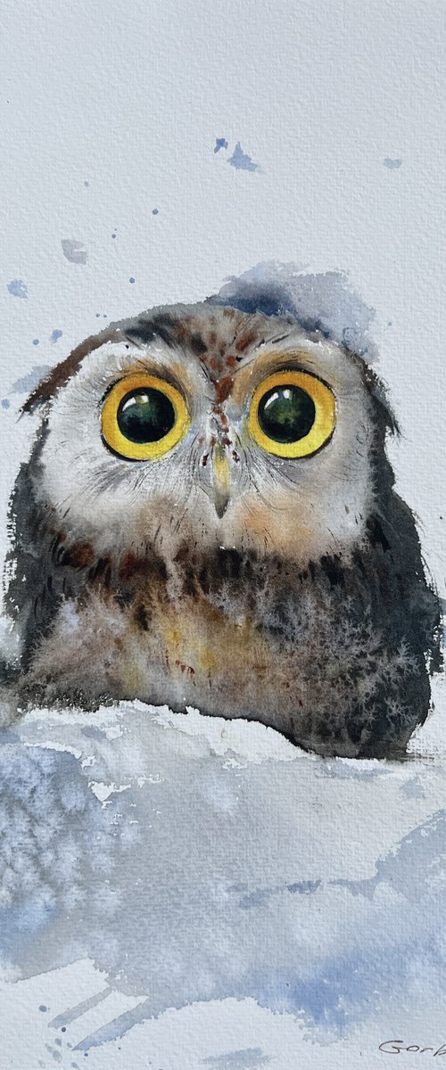 Owlet in a snowdrift by Eugenia Gorbacheva