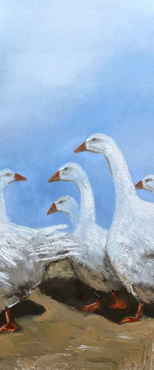 Eight Geese by Nicola Colbran