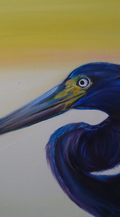Blue Bird by Timea  Valsami