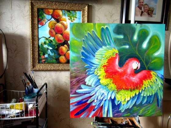 Back to freedom 24x24" Parrots