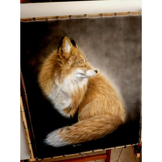 Red fox