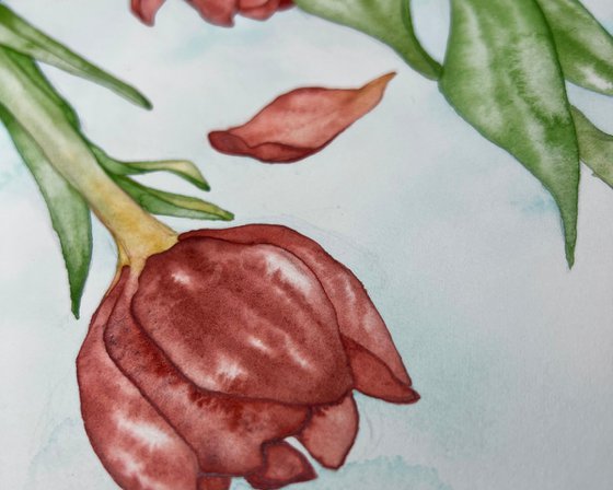 Tulips
