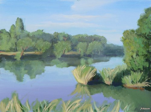 Tajo river 2 by Joseba Moreno