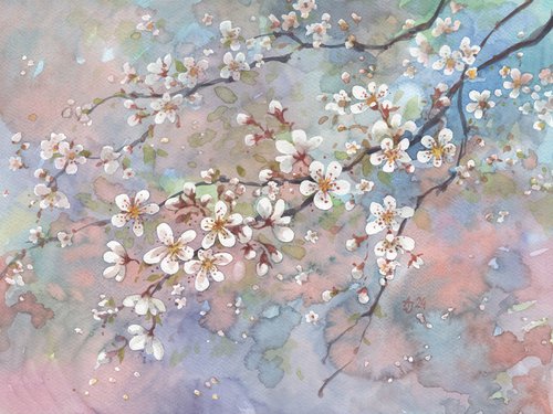Cherry tree by Jolanta Czarnecka