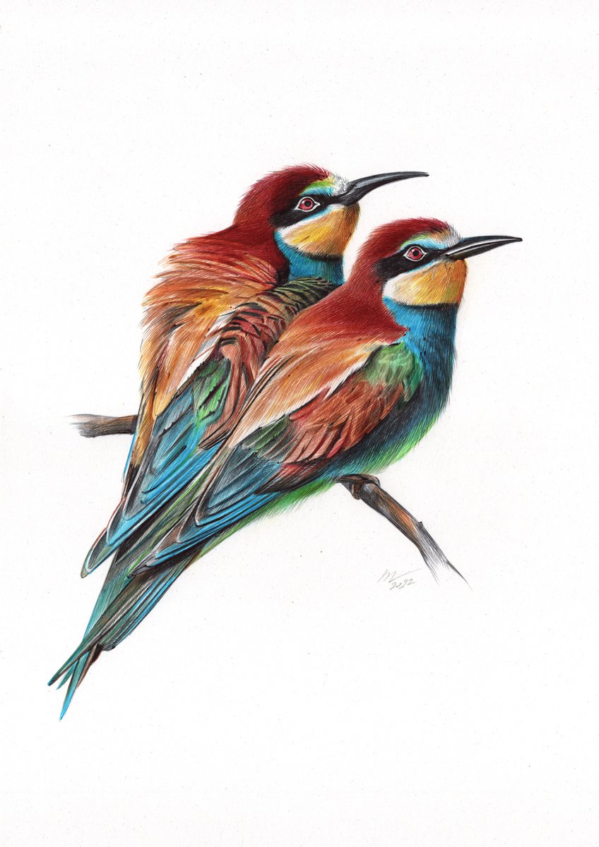 European Bee-eater (Realistic Ballpoint Pen Bird Portrait) by Daria Maier