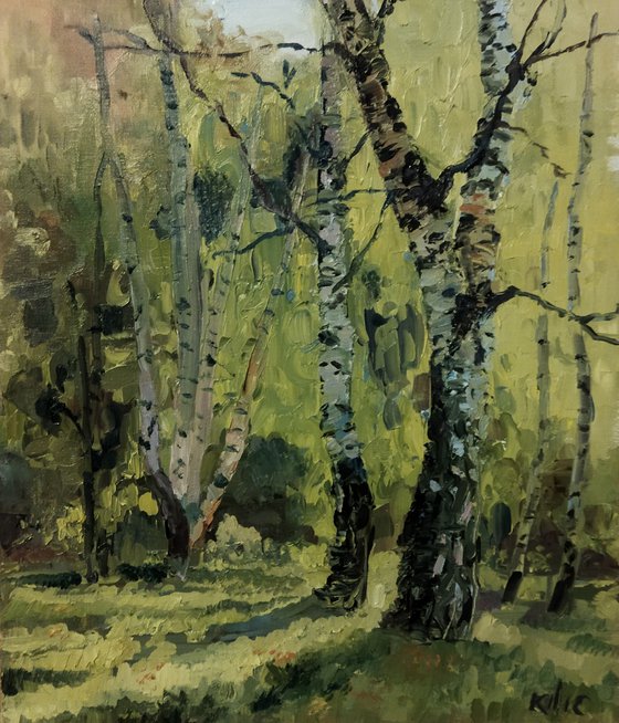Summer's birches