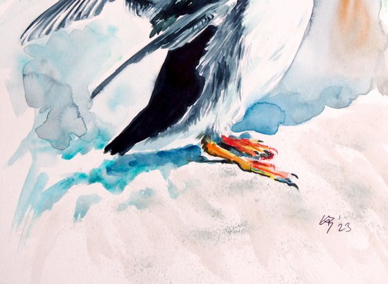Puffin collection