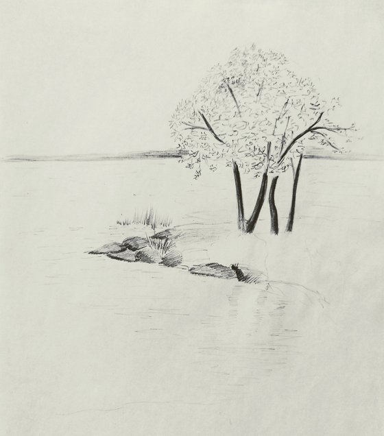 Vẽ Bằng Bút Chì Tại Hồ (By the lake. Original pencil drawing): Bộ tranh \