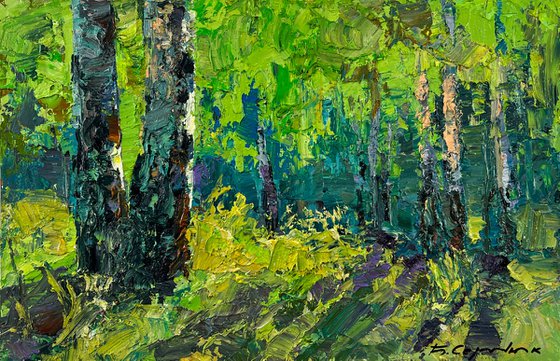 Birch Forest on a Summer Day