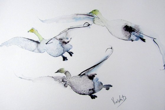 A Flock of Swans in Flight