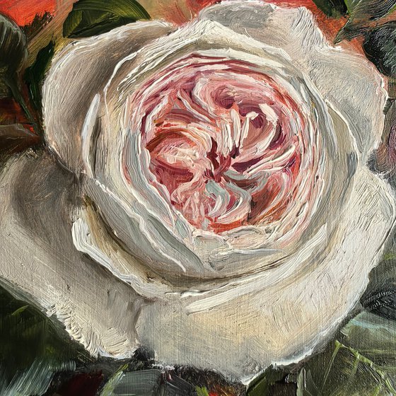 Pink roses still life