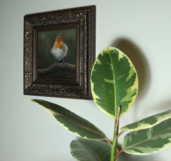 Lockdown's Morning Chorus Series - Robin, Bird Artwork, Animal Art Framed