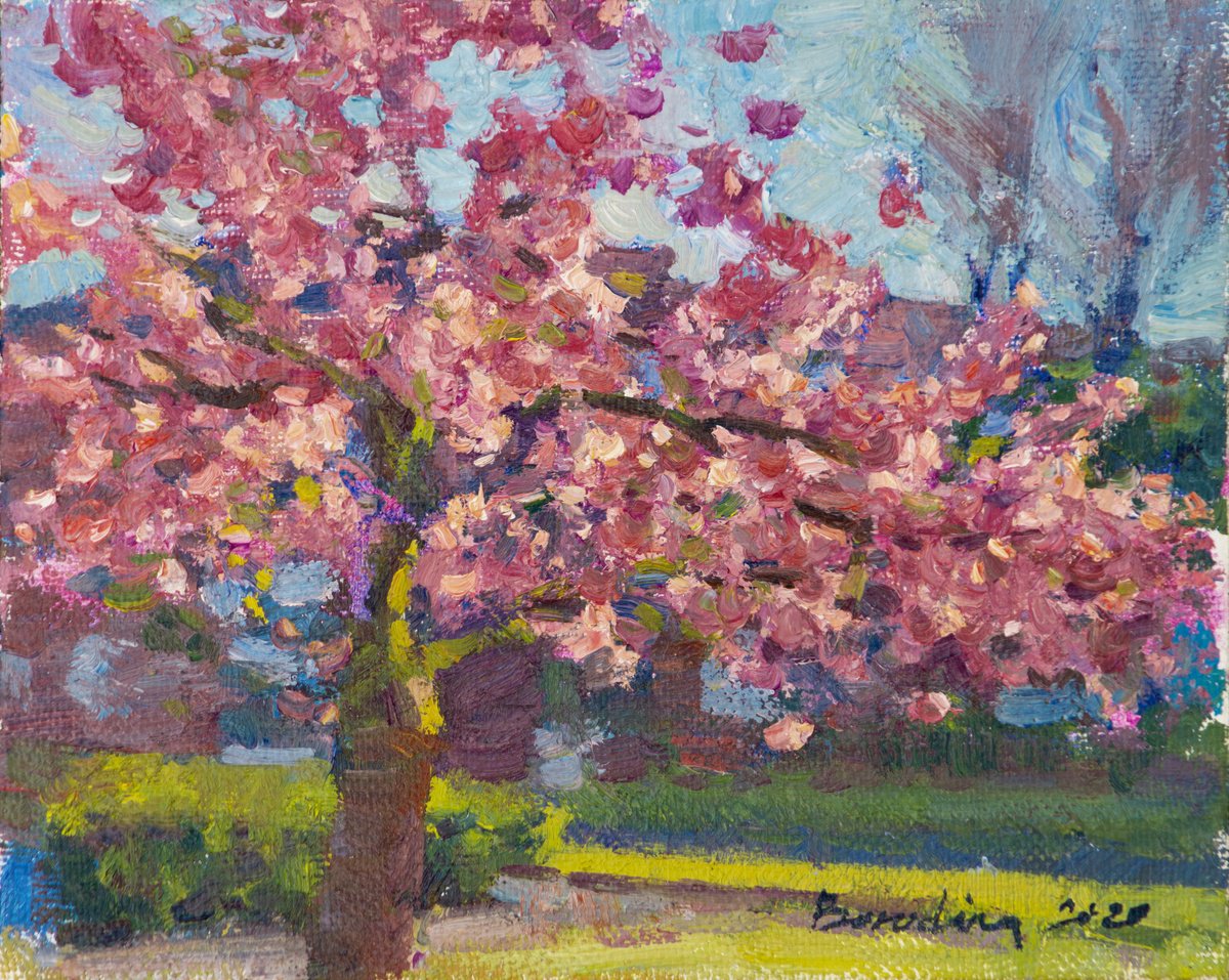 Sakura - Impressionistic Oil Landscape By Anastasia Borodina, 10 X 8, Artwork For Sale On Artfinder