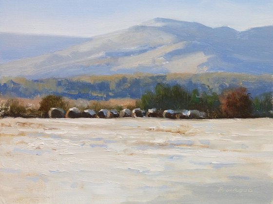 Row of haystacks under snow