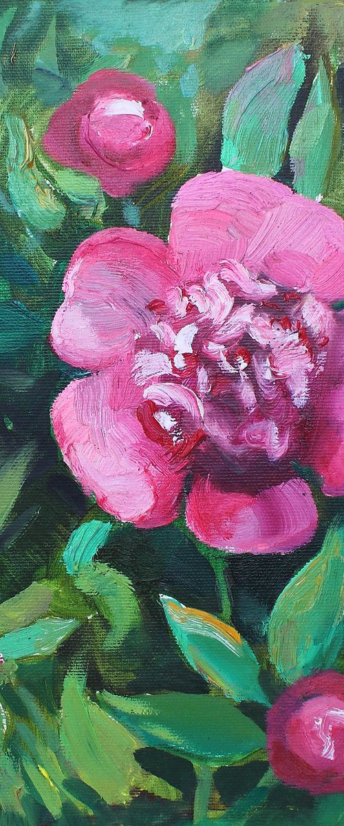 Small peony by Anastasiia Grygorieva