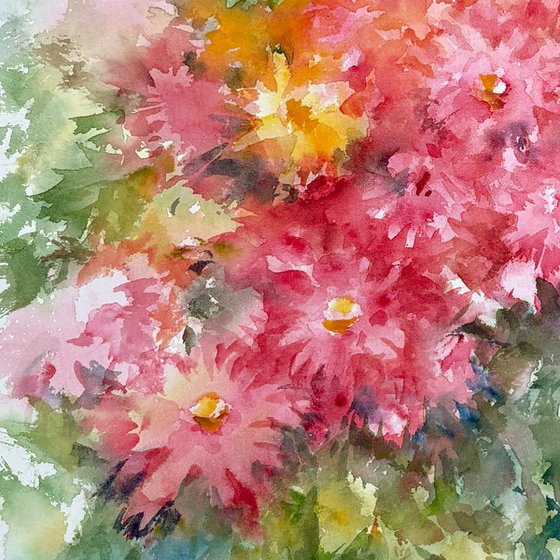Petals in Motion