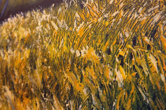 The Barn with yellows - Fields and Colors Series