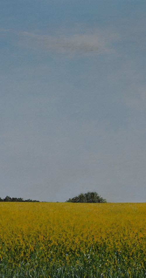 Rapeseed Field 2 by Alma de Leeuw - van Wilgenburg