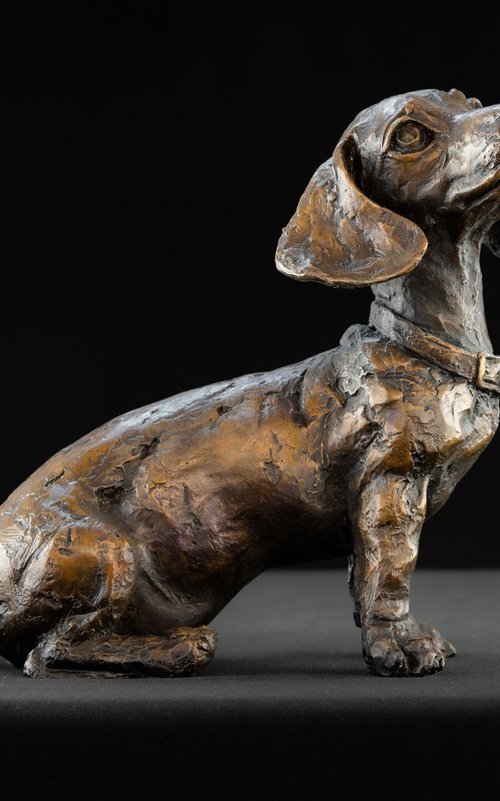 Dachshund Puppy Foundry Br by Tanya Russell