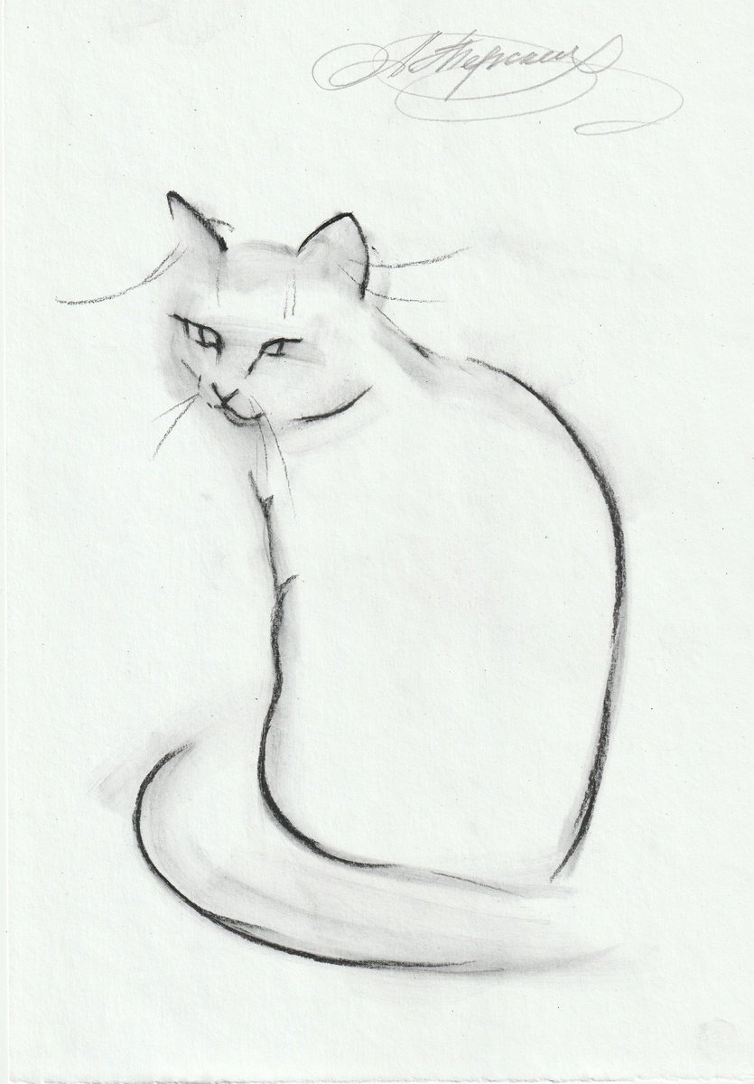 Animal Charcoal Drawing By Anastasia Terskih, 7 X 12, Cat, Original Artwork