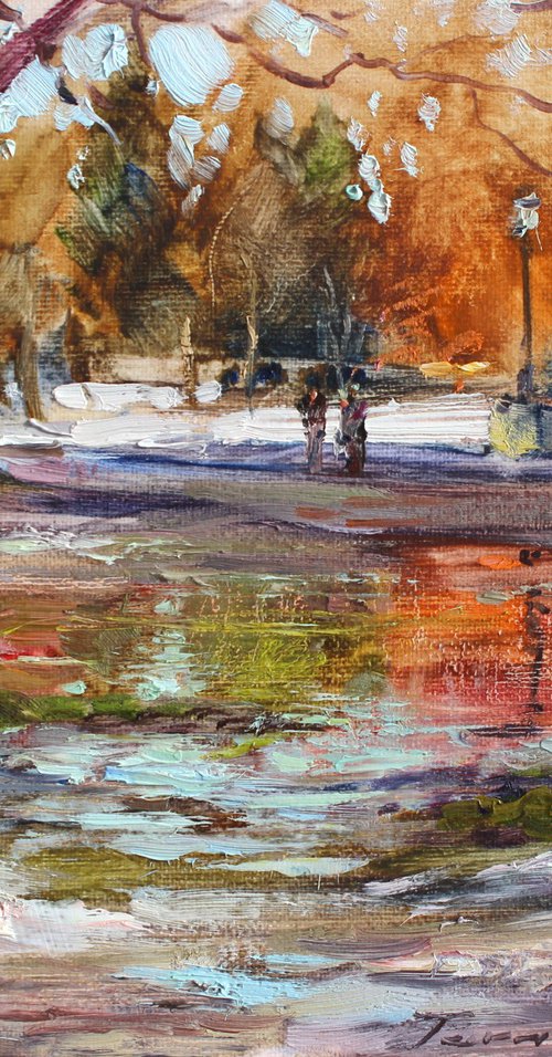 Thawed patch in the park by Volodymyr Tarabanov