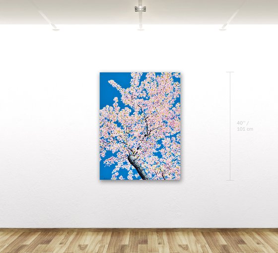 Cherry Blossom #10