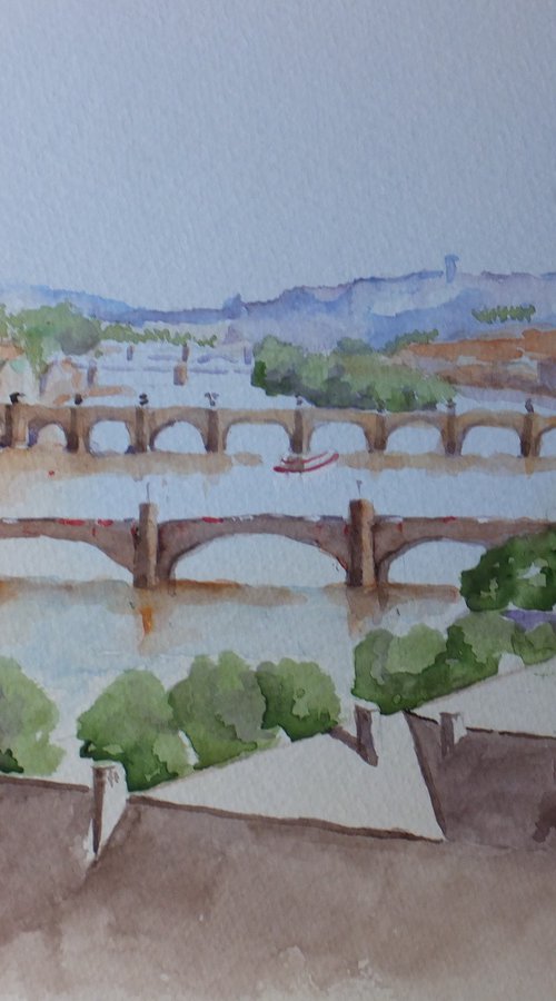 Bridges of Prague by David Harmer