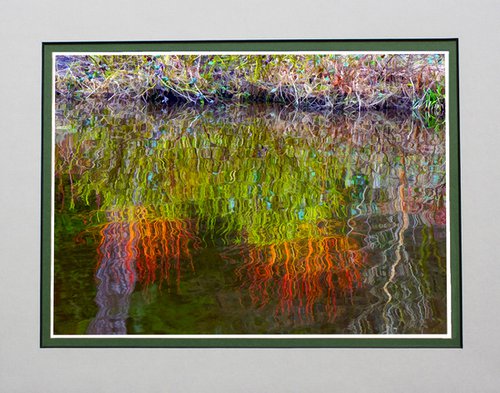 Riverbank Reflections by Robin Clarke